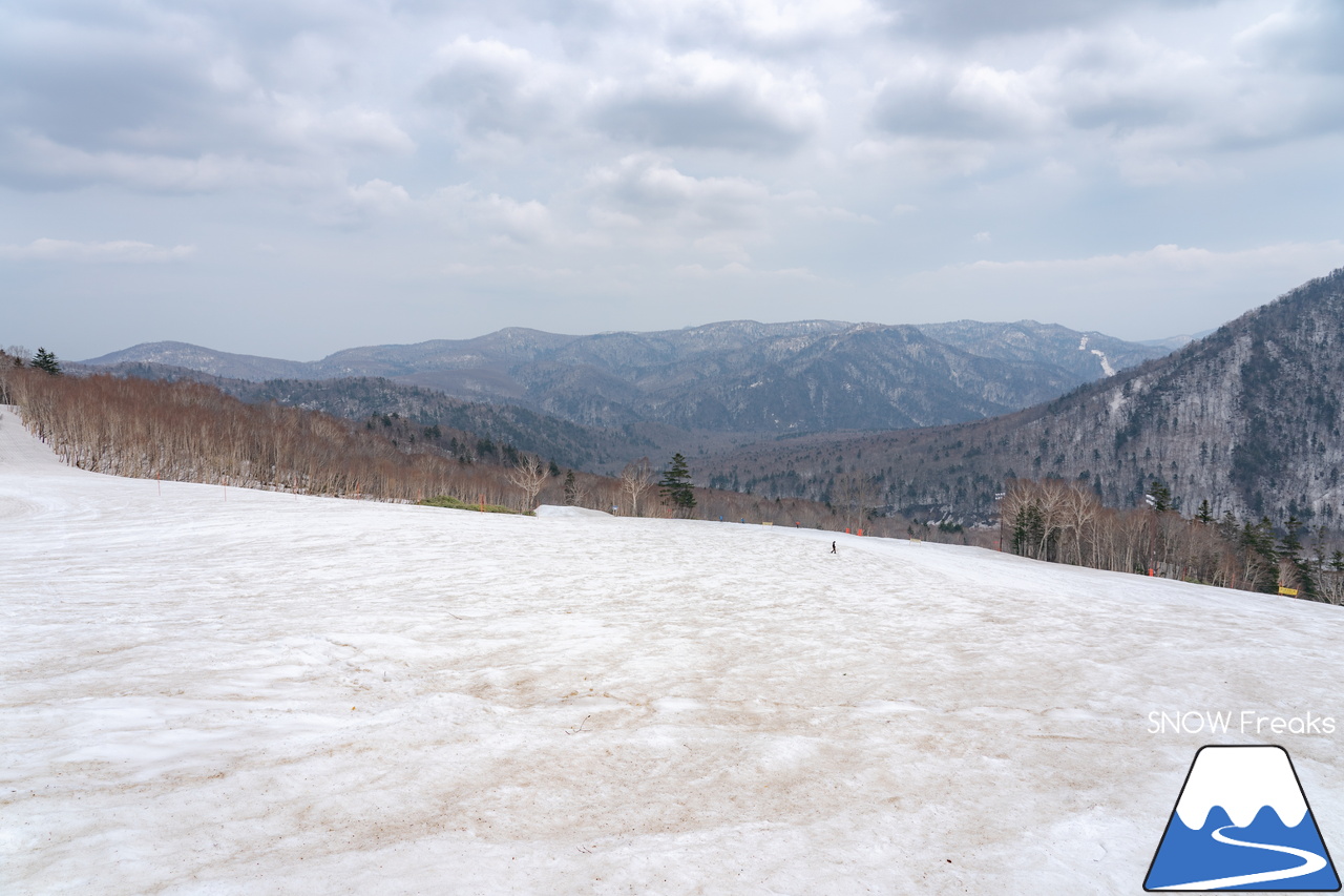 札幌国際スキー場｜2023・ゴールデンウィークがスタート！心配された雪ですが…。大丈夫、ちゃんと残ってくれました(^_-)-☆